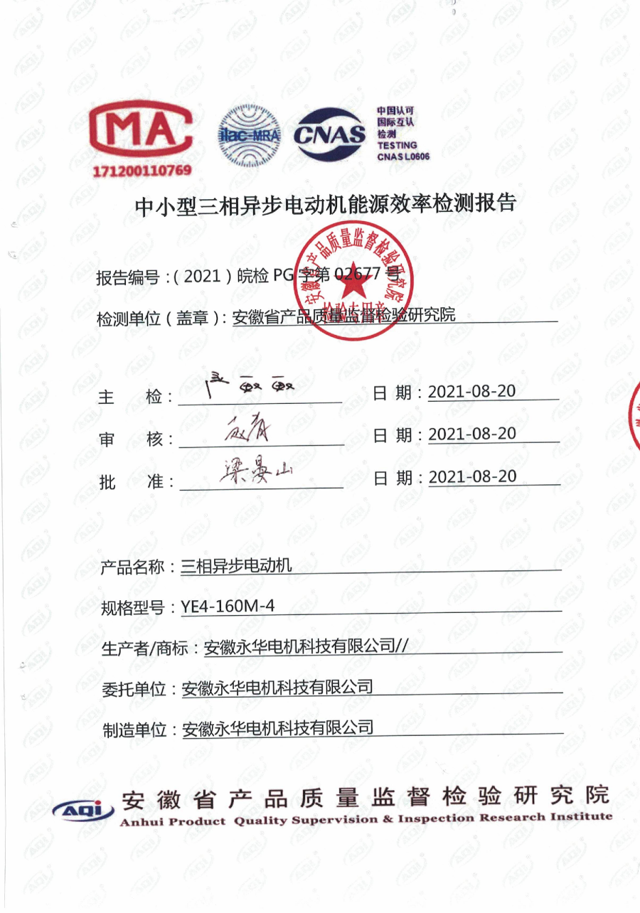 中小型三相异步电动机能源效率检测报告